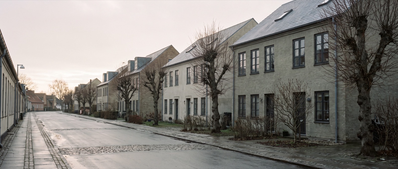 A quiet residential street of pale brick Nordic townhouses on a damp overcast morning, bare pollarded trees along the kerb.